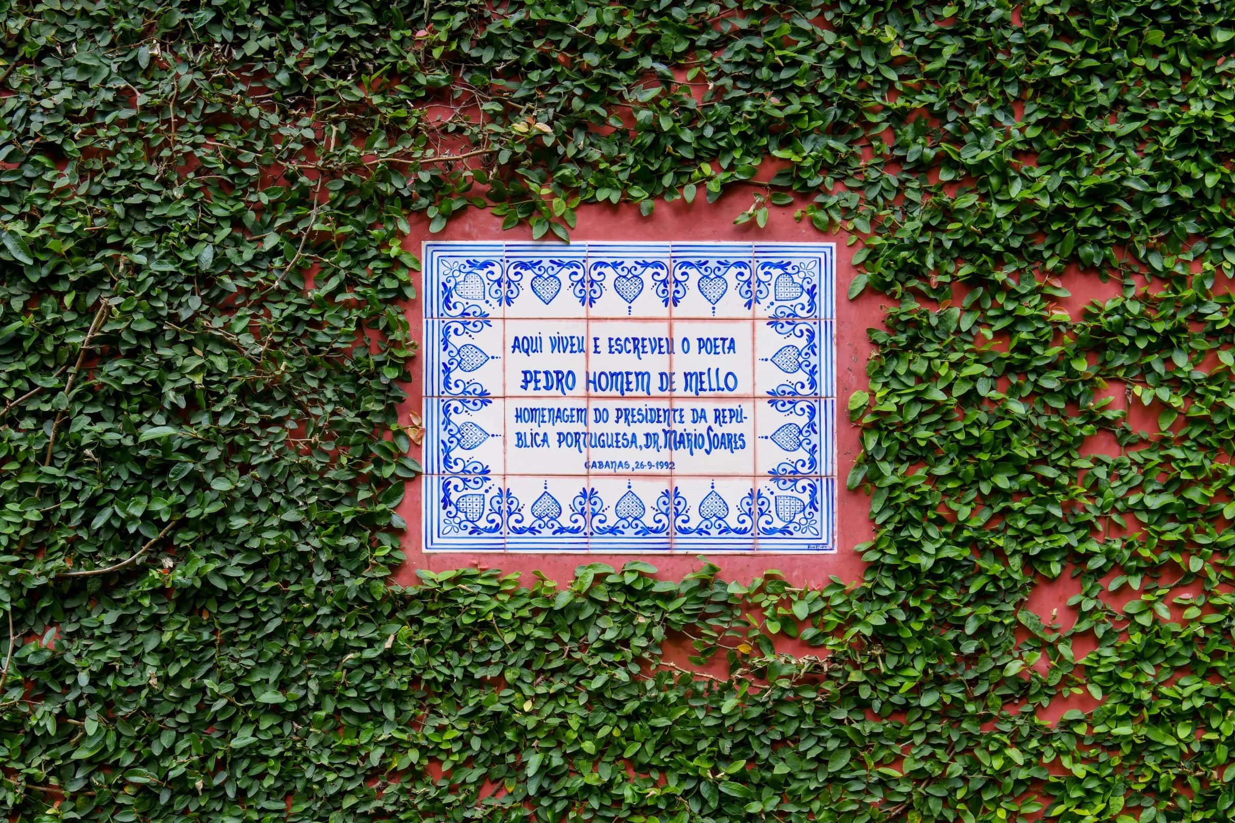 The azulejo plaque of the poet Pedro Homem de Mello, framed in ivy