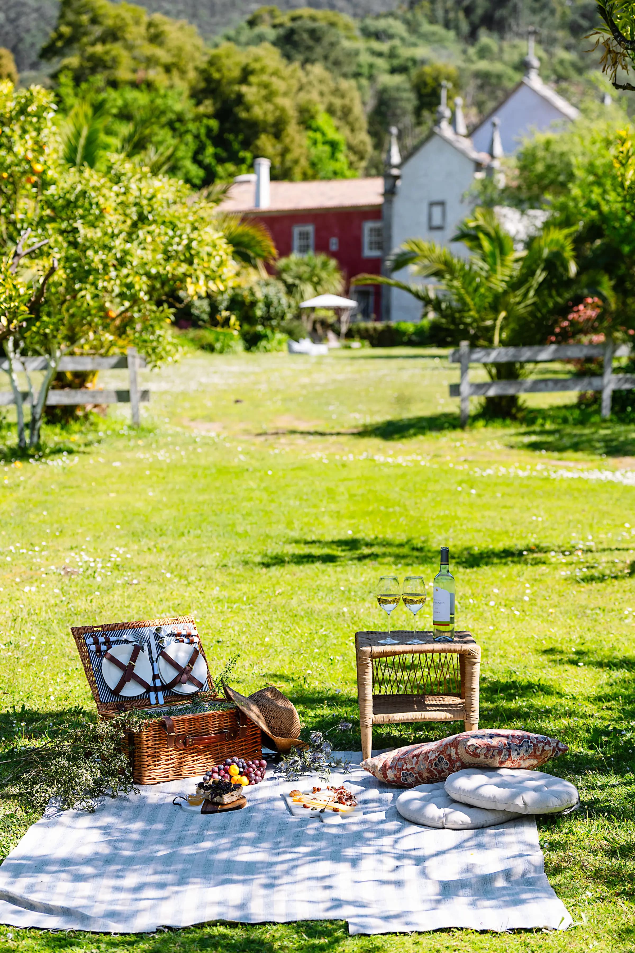 A picnic laid out on the lawn beneath the trees