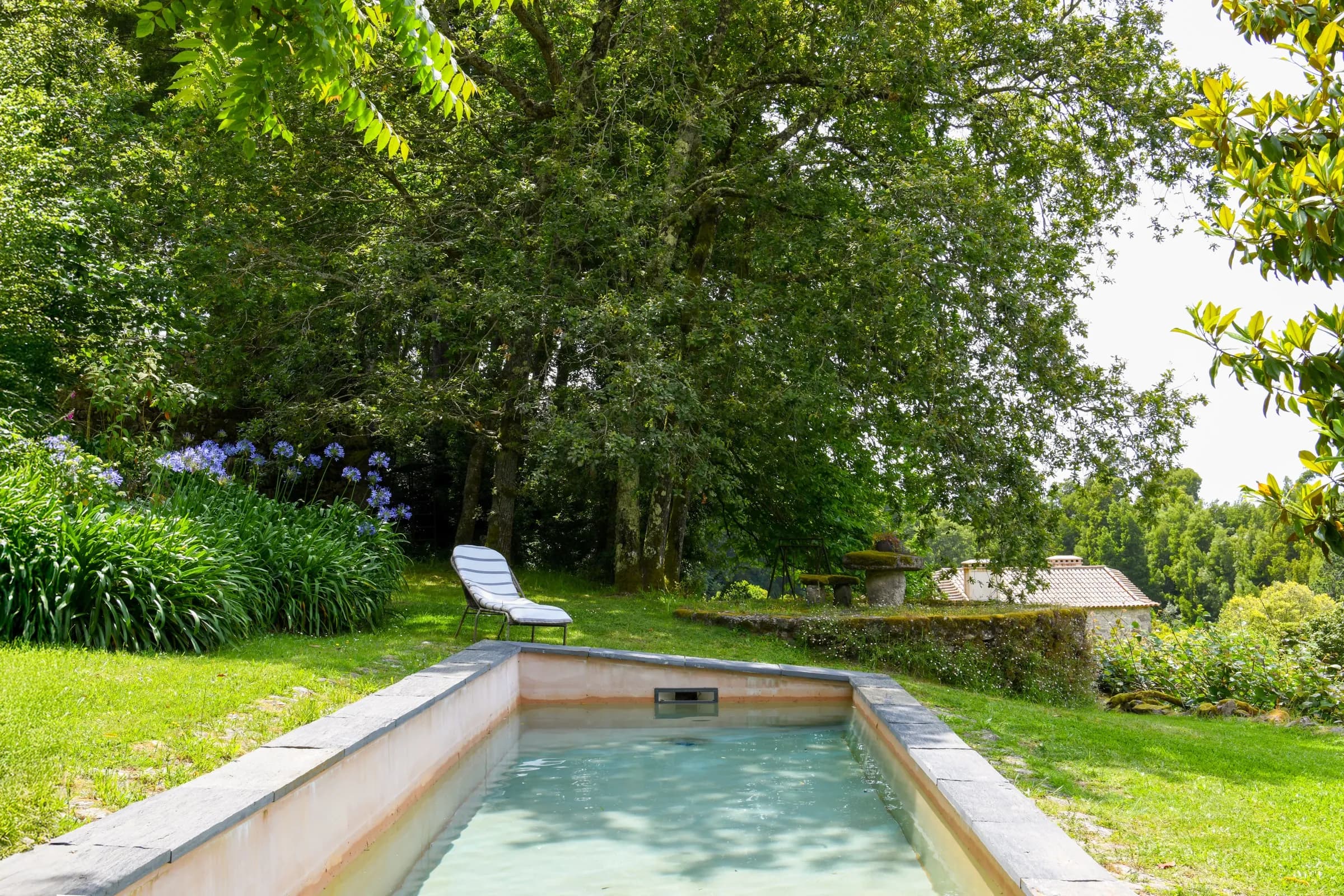 The swimming pool set among hydrangeas and woodland