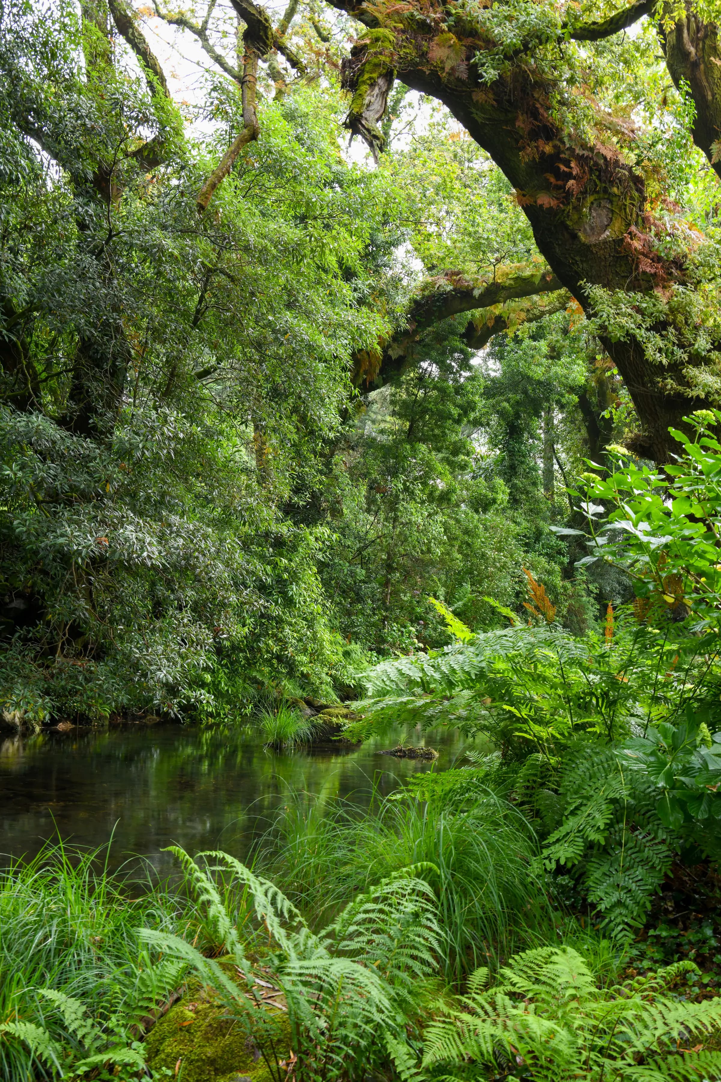 The crystal-clear river running below the estate