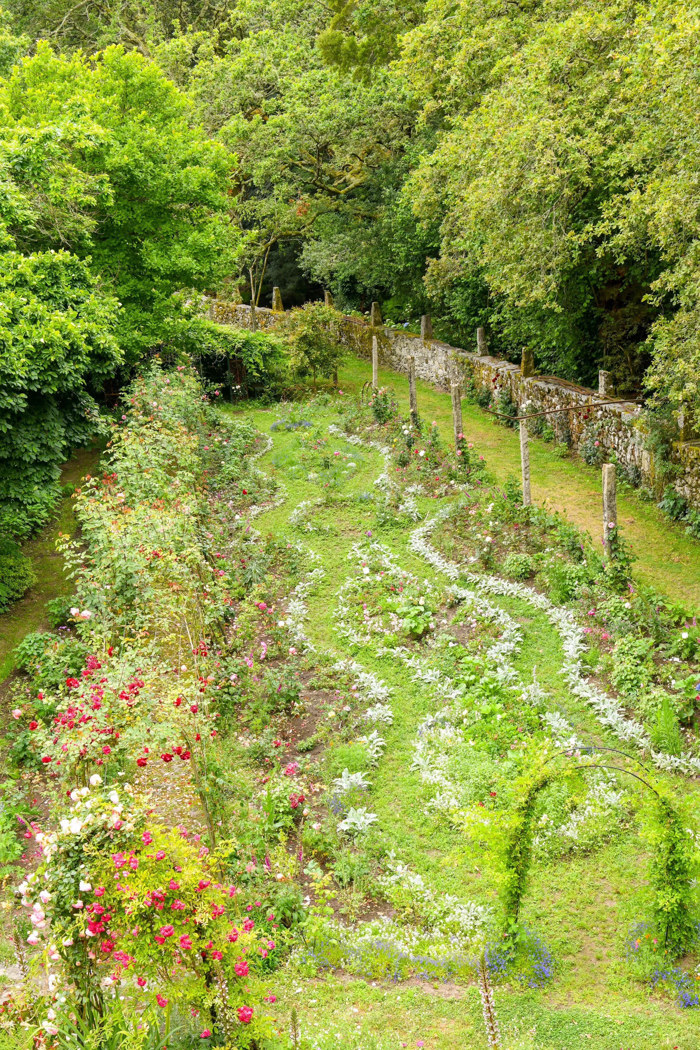 Rows of the estate vineyard on the hillside